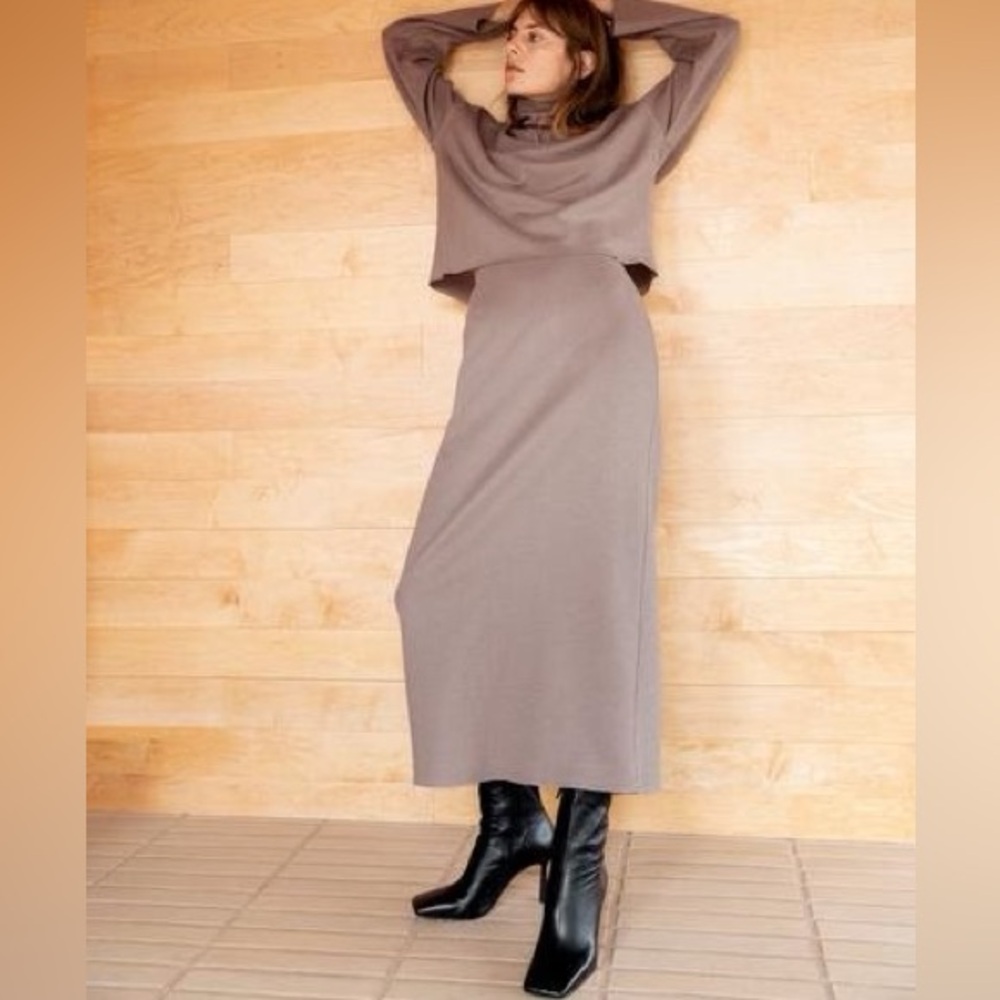 Zara Tan Maxi Skirt
